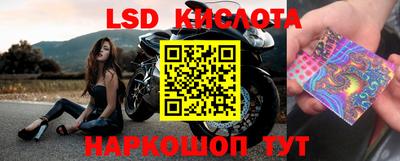 стаф Шелехов