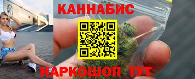 стаф Шелехов