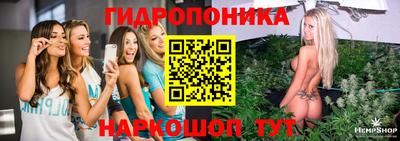 стаф Шелехов