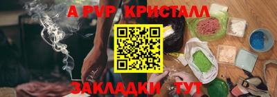 стаф Шелехов