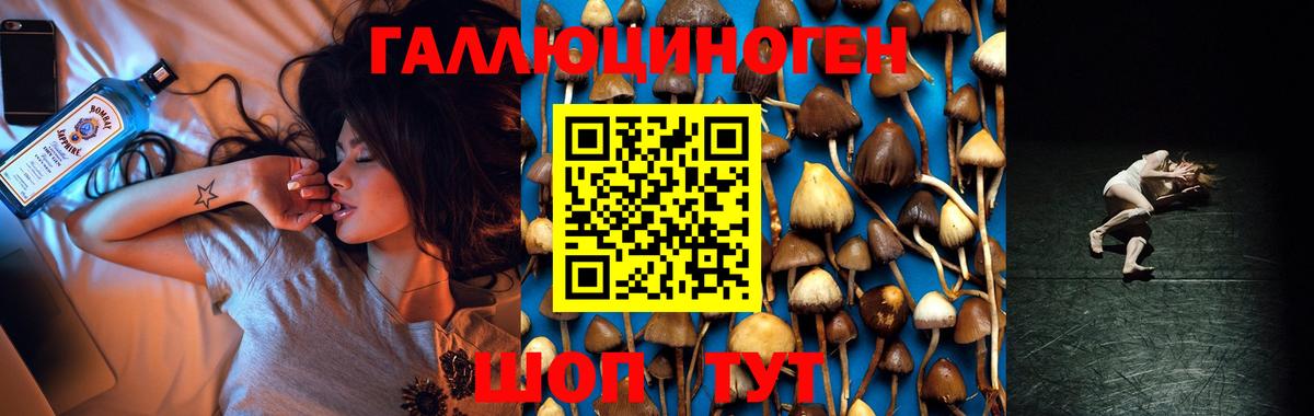 Псилоцибиновые грибы Psilocybine cubensis  Вход с VPN  Каспийск 